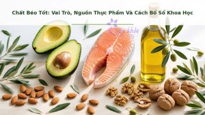 Chất Béo Tốt: Vai Trò, Nguồn Thực Phẩm Và Cách Bổ Sổ Khoa Học