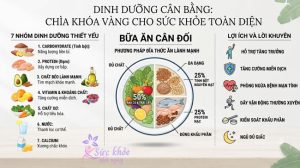 Dinh Dưỡng Cân Bằng: Chìa Khóa Vàng Cho Sức Khỏe Toàn Diện