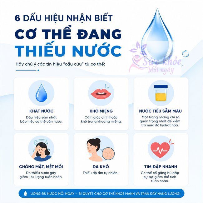 Dấu hiệu nhận biết cơ thể đang thiếu nước