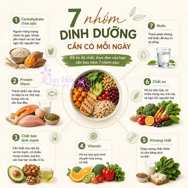 7 nhóm dinh dưỡng cần có mỗi ngày